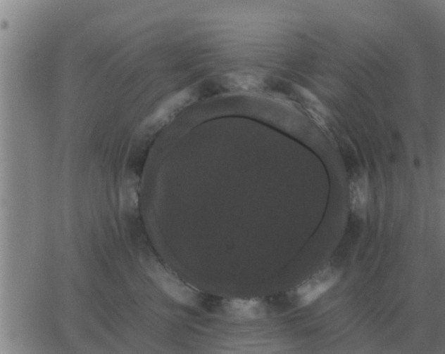 X0000062850570200601272044