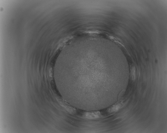 X0000062850571200601272044