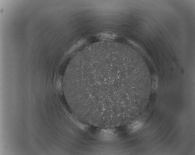 X0000062850573200601272044