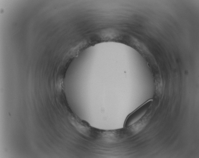 X0000062850574200601272044