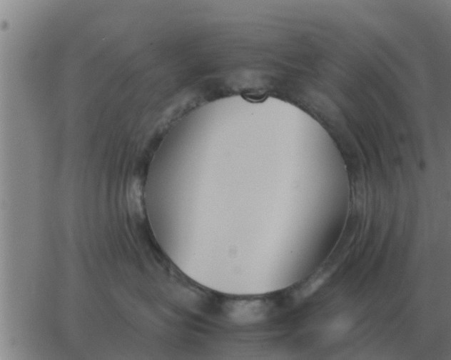 X0000062850575200601272044