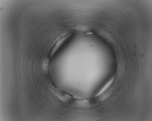 X0000062850576200601272044