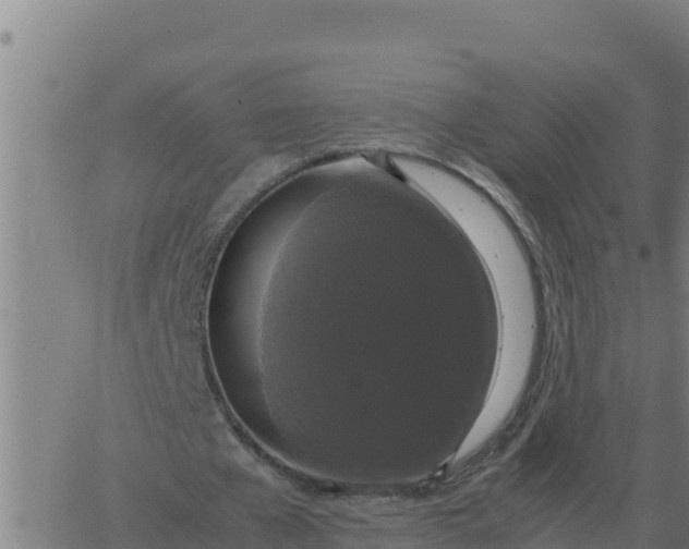 X0000062850577200601272044