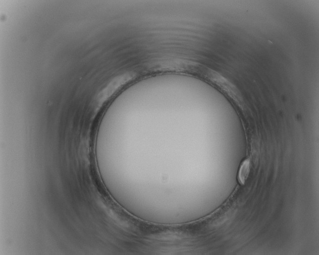 X0000062850578200601272043