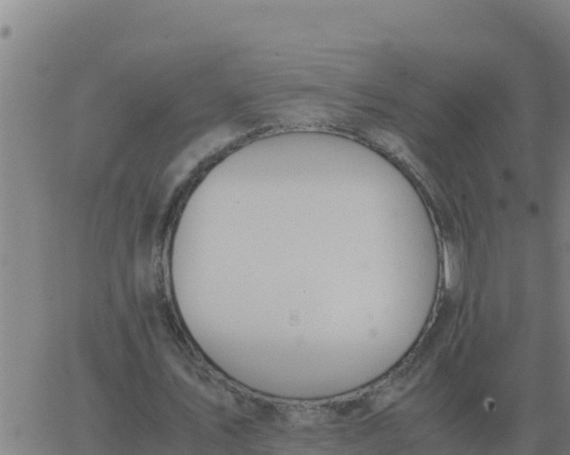 X0000062850579200601272043