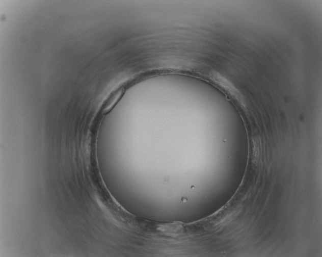 X0000062850580200601272043