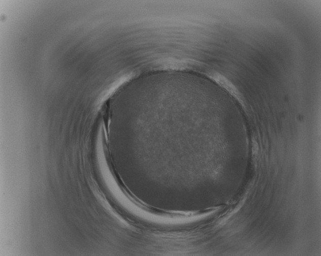 X0000062850581200601272043