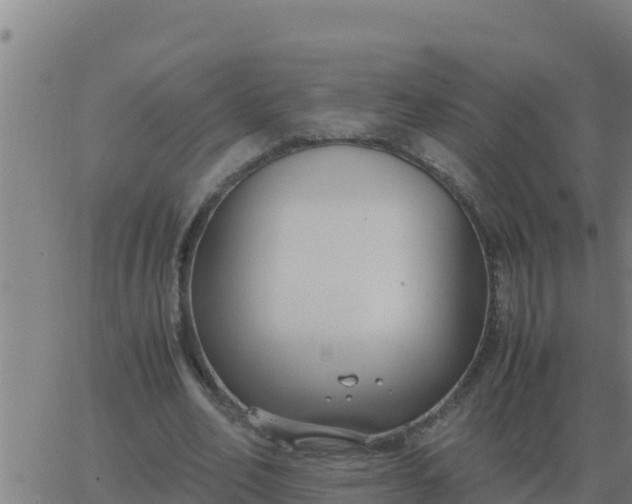 X0000062850582200601272043