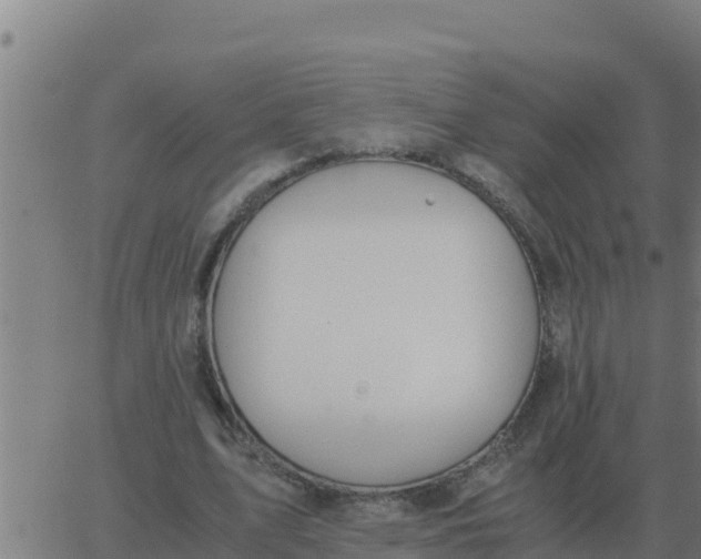 X0000062850583200601272043