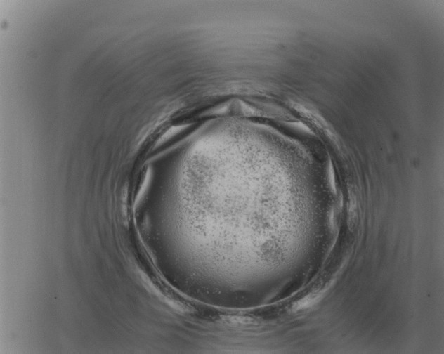 X0000062850585200601272043