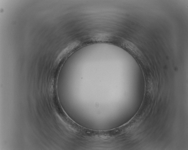 X0000062850586200601272043