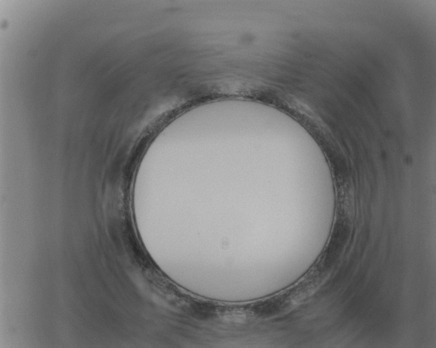 X0000062850587200601272043