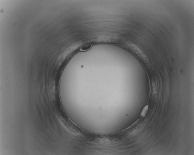 X0000062850588200601272043