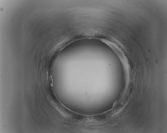 X0000062850589200601272043