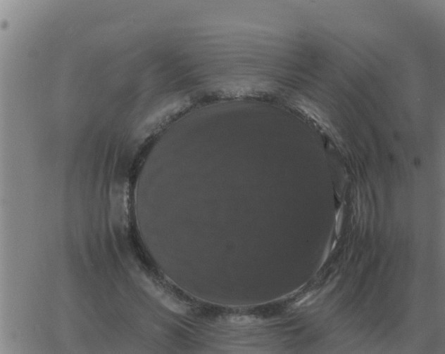 X0000062850590200601272043