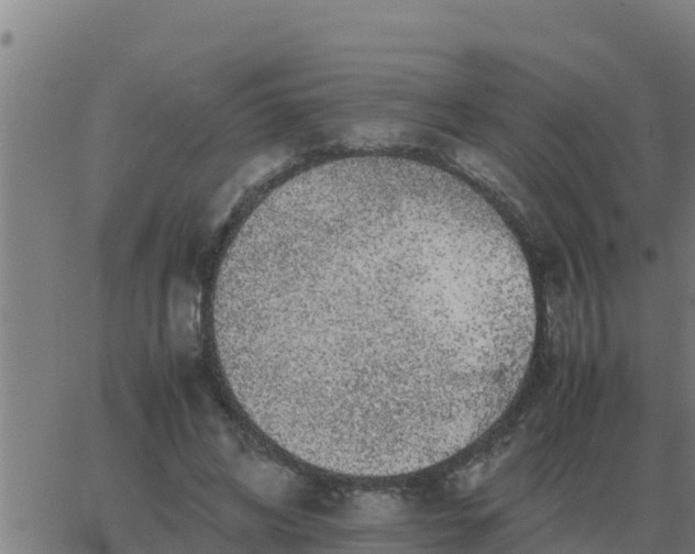 X0000062850592200601272043