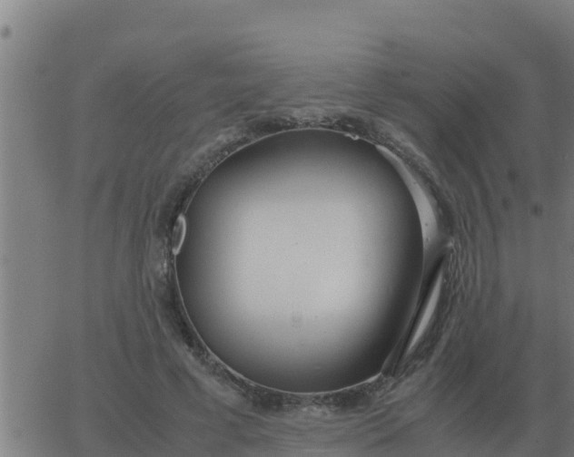 X0000062850593200601272043