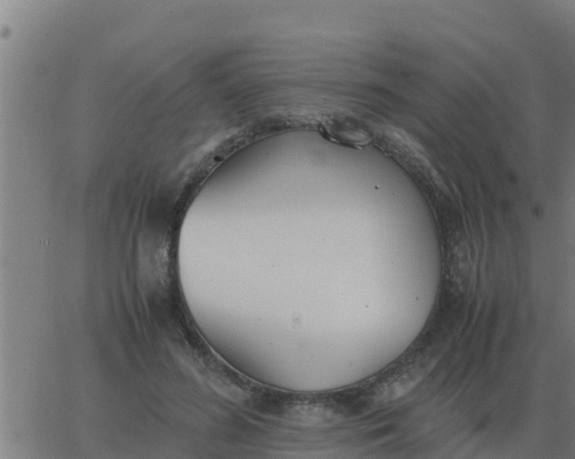 X0000062850596200601272043