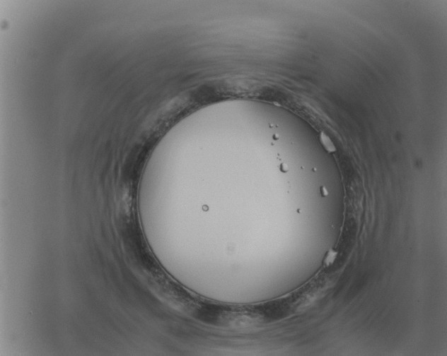 X0000062850597200601272043