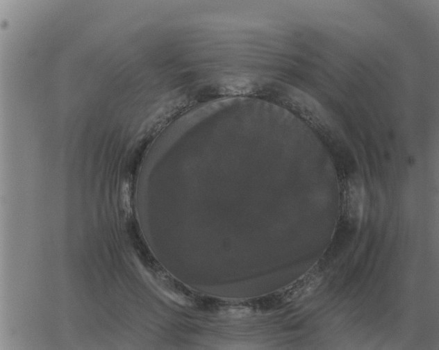 X0000062850598200601272043