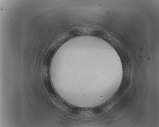 X0000062850599200601272043