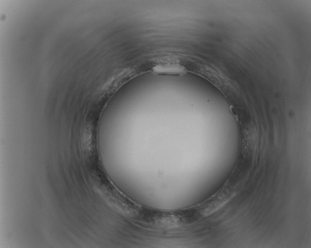 X0000062850600200601272043