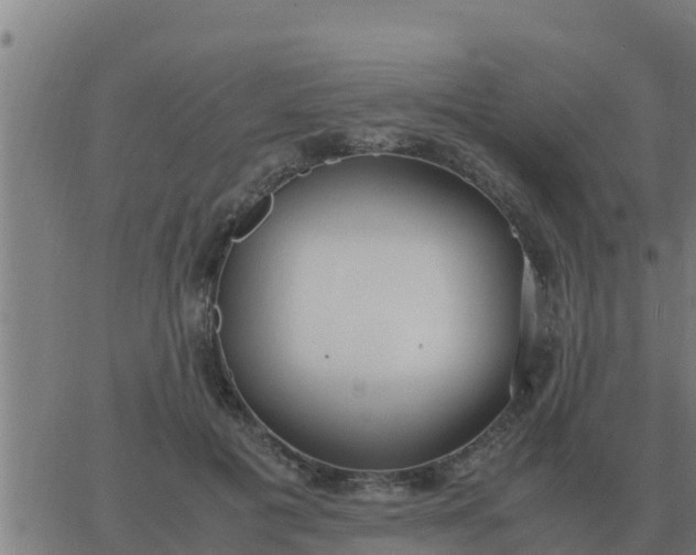 X0000062850601200601272043