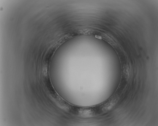 X0000062850602200601272043