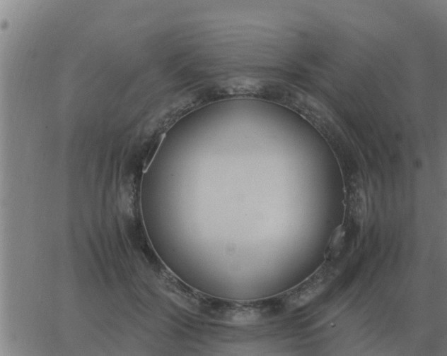 X0000062850604200601272043