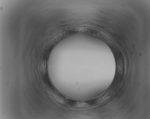 X0000062850605200601272043