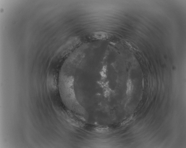 X0000062850606200601272043