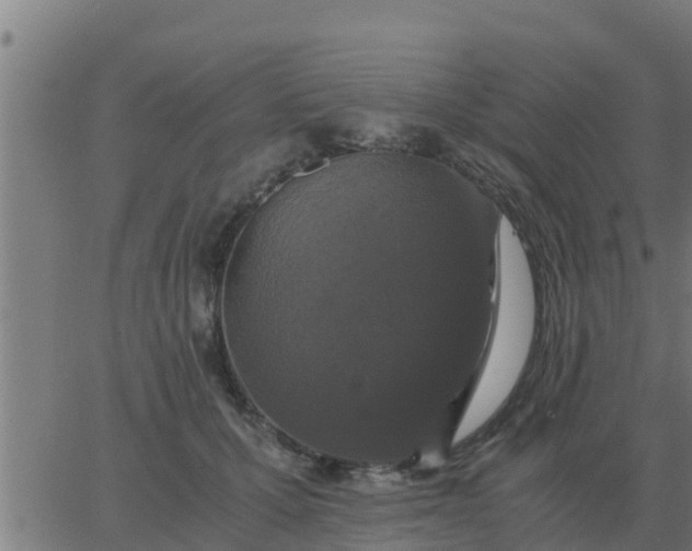 X0000062850607200601272043