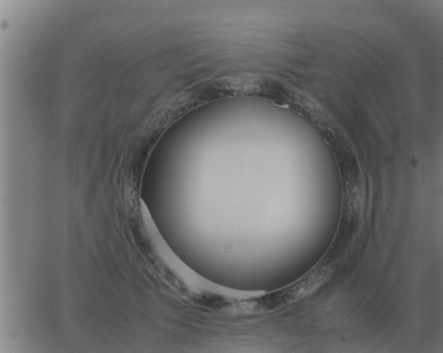 X0000062850609200601272043