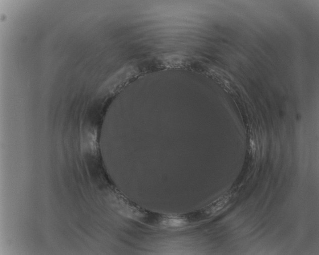 X0000062850610200601272043