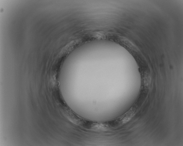 X0000062850611200601272043