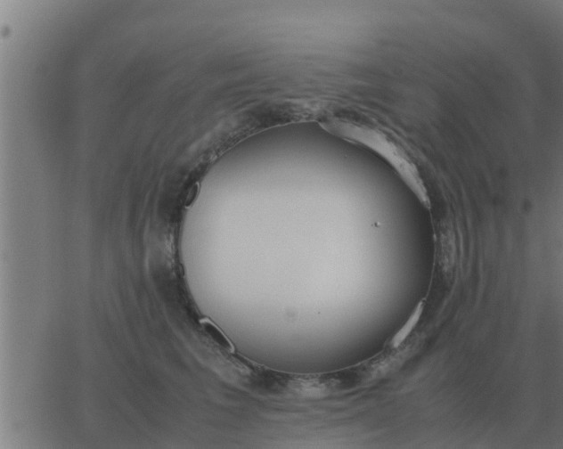 X0000062850613200601272043