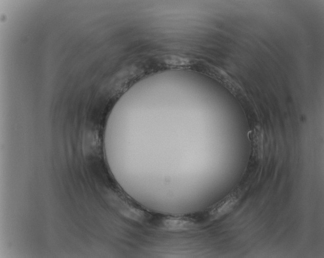 X0000062850614200601272043