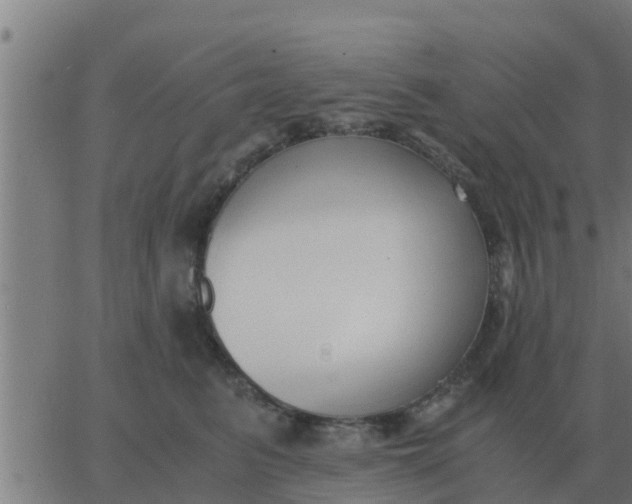 X0000062850615200601272043