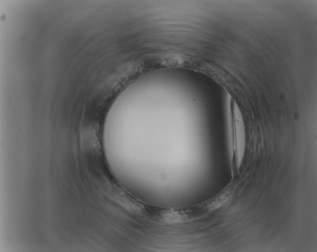 X0000062850616200601272043