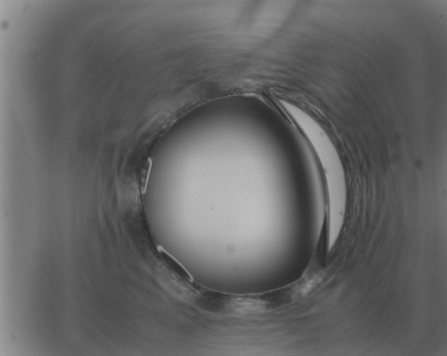 X0000062850617200601272043