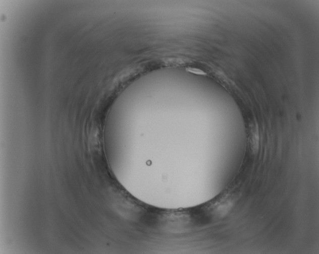 X0000062850619200601272043