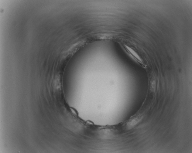 X0000062850620200601272043