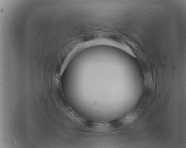 X0000062850621200601272043