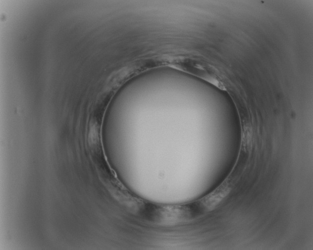 X0000062850623200601272043