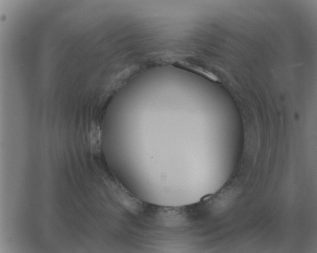 X0000062850624200601272043