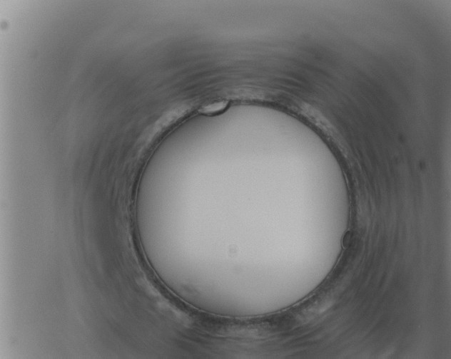 X0000062850625200601272042