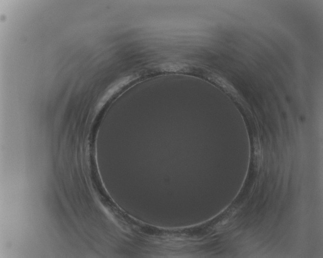 X0000062850626200601272042