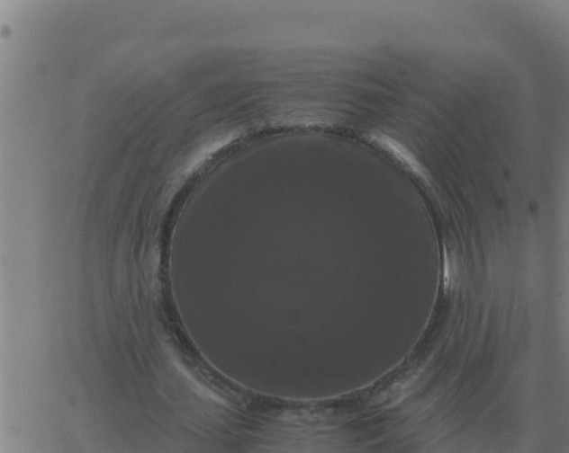 X0000062850627200601272042