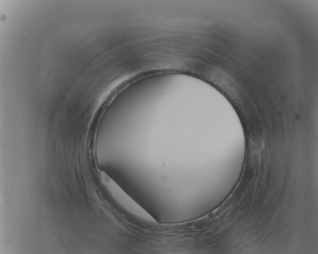 X0000062850628200601272042