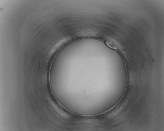 X0000062850629200601272042